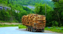 logging-was-one-of-the-big-industries-at-one-time